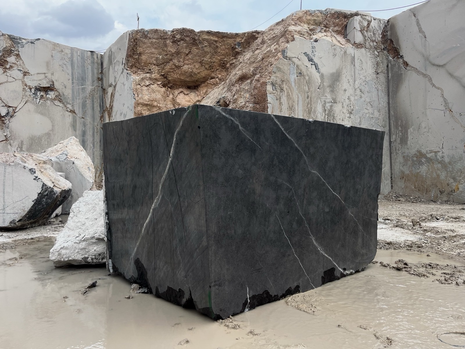 Black Zebra Block 2